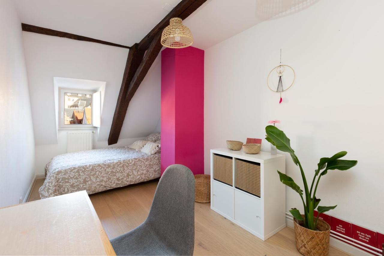 Petite France-Cathedrale, Duplex 100M2- 3 Chambres Στρασβούργο Εξωτερικό φωτογραφία